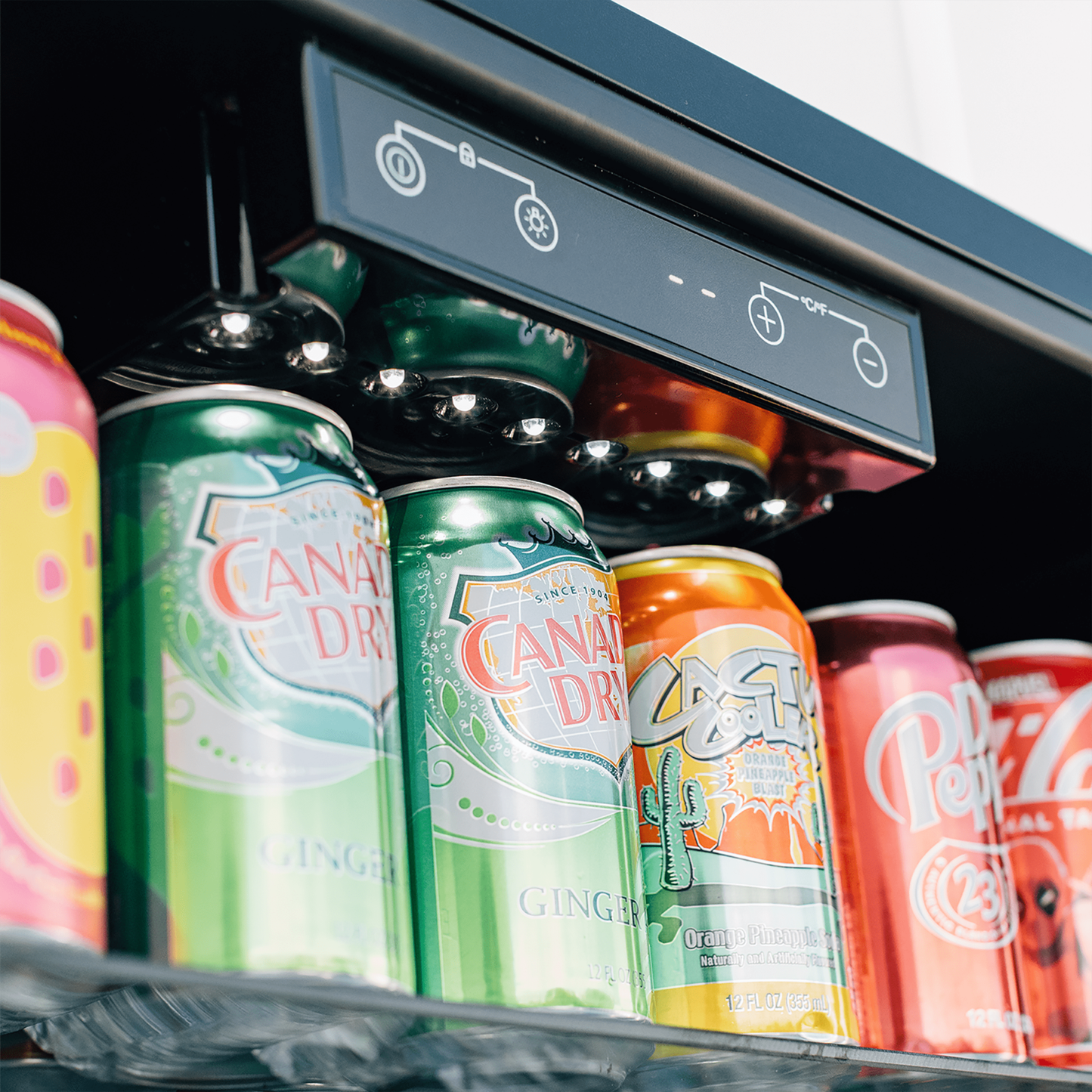 24″ 5 Cu. Outdoor Rated Refrigerator